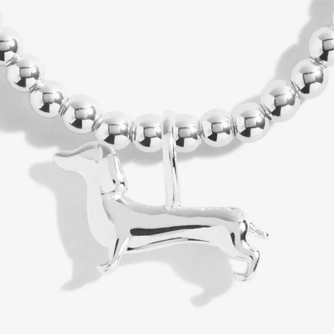 A Little Silly Sausage Silver 15.5cm Stretch Bracelet C560