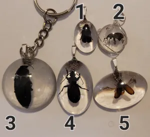 Resin Pendants Insects Beetles